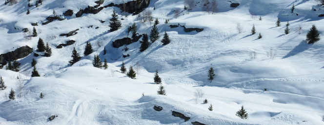 [Myrtille et Chocolat]13 Domaine skiable