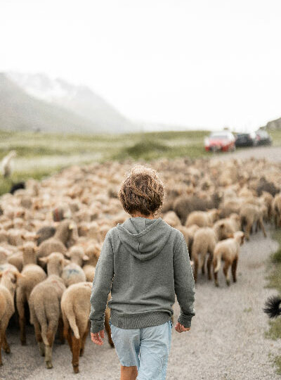 Enfant avec troupeau de moutons