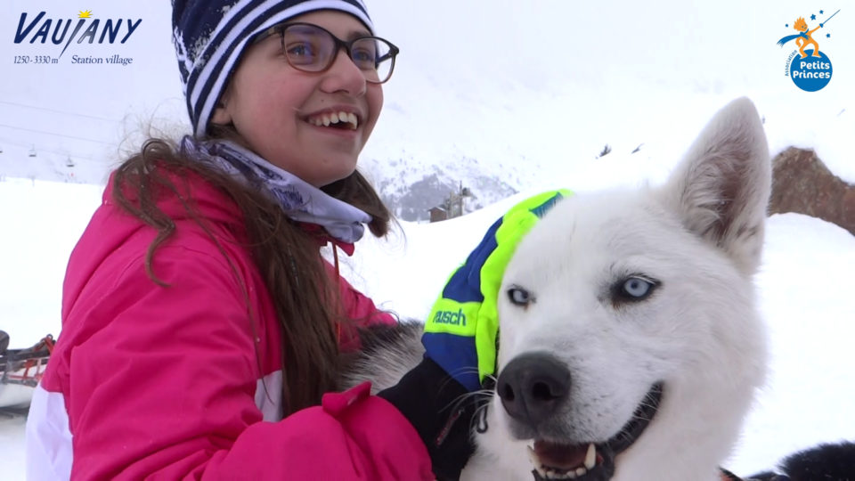 Chiens de Traineau (2)