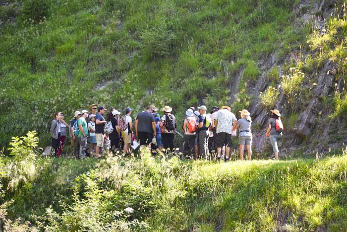Sortie Nature en Oisans