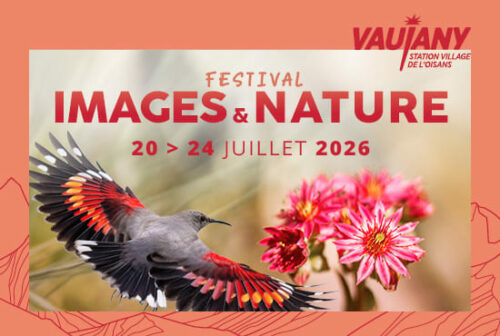 Visuel image et nature 2026