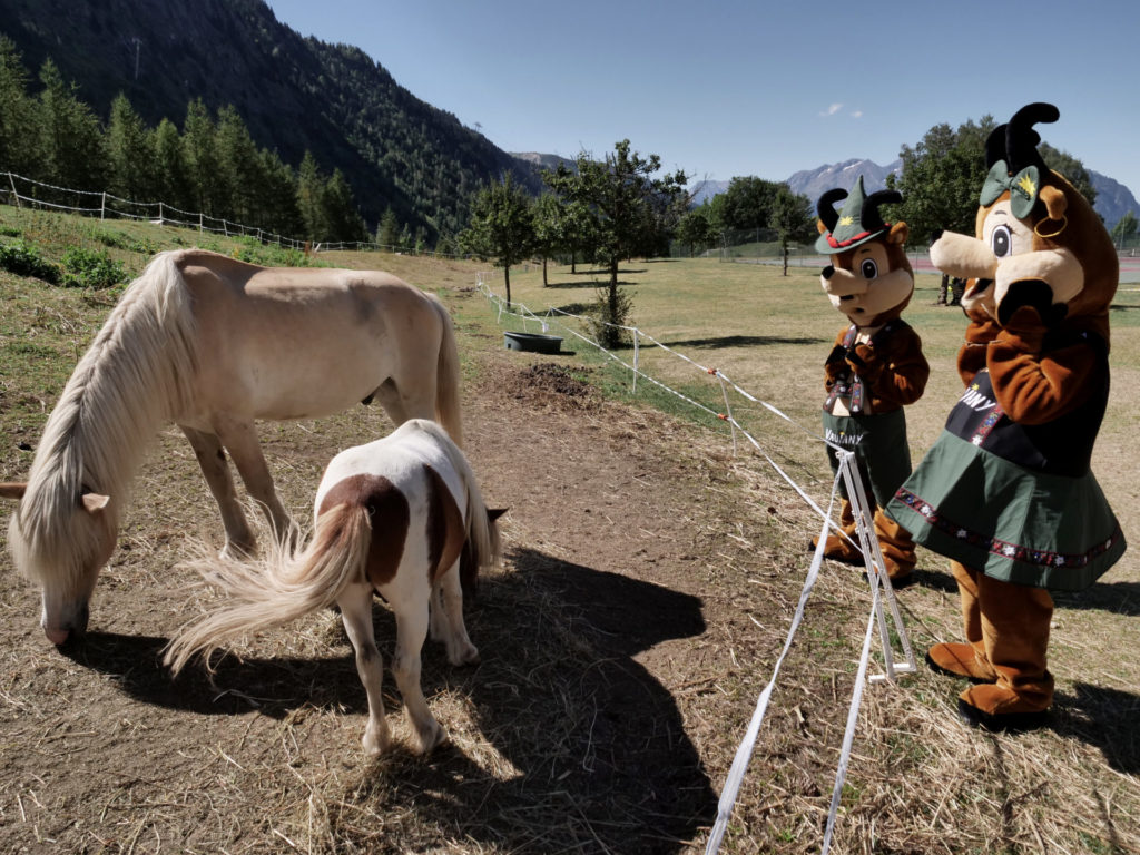 Mascottes Jauvany et Jauvana_Poney_Centre Estival du Collet_Juillet 2020_001