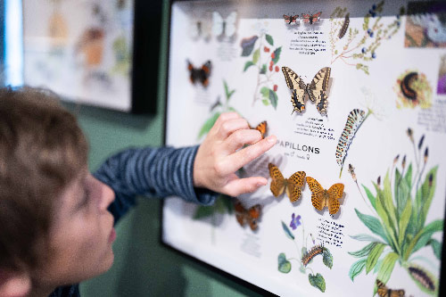 Activité en intérieur : enfant qui s'émerveille au Musée de Vaujany, OIsans 38