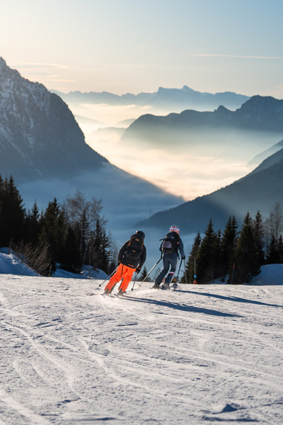 Vaujany ski sapins