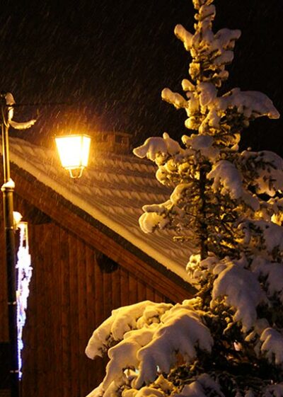 sapin avec de la neige fraiche éclairé par un lampadaire : ambiance hiver nocturne
